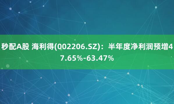 秒配A股 海利得(002206.SZ)：半年度净利润预增47.65%-63.47%