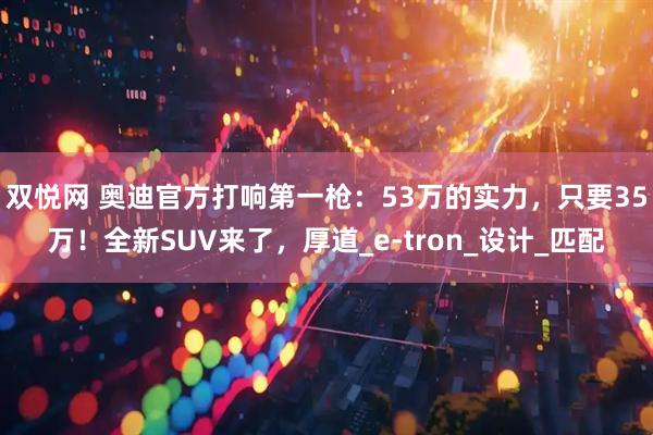 双悦网 奥迪官方打响第一枪：53万的实力，只要35万！全新SUV来了，厚道_e-tron_设计_匹配
